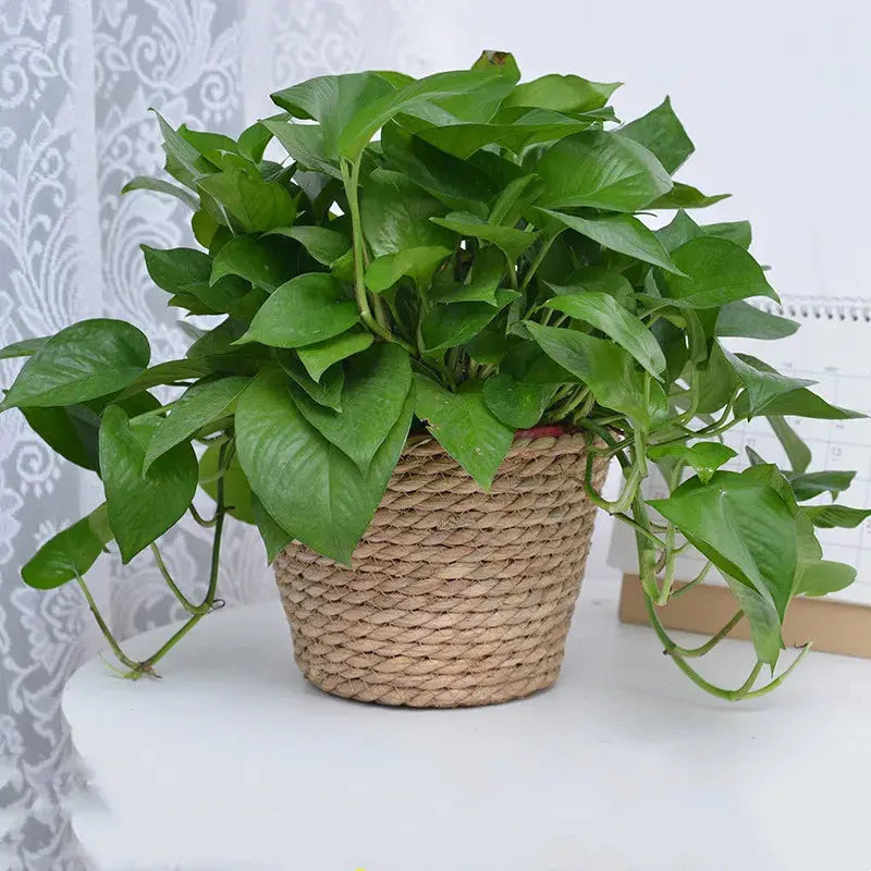 Straw Weaving Flower Plant Pot Basket Grass Planter Basket Indoor Outdoor Flower Pot Cover Plant Containers for Plantable Plants  