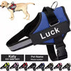 NoPully™ Personalized No Pull Dog Harness  