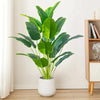 echo-friendly Large Tropical Artificical Plastic Palm Tree For Home, Office