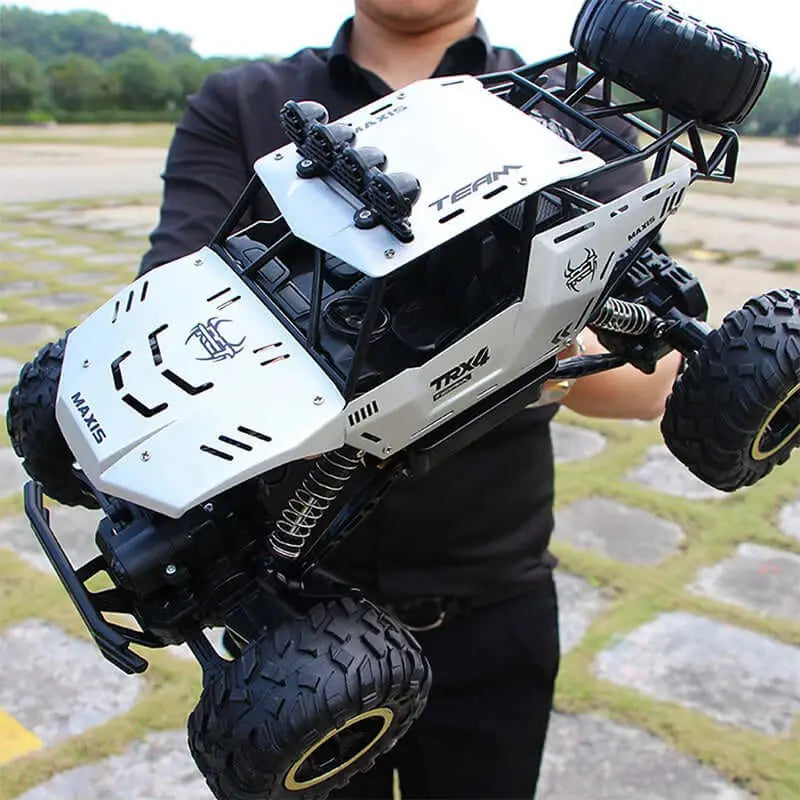 ZWN 4WD Remote Control Car